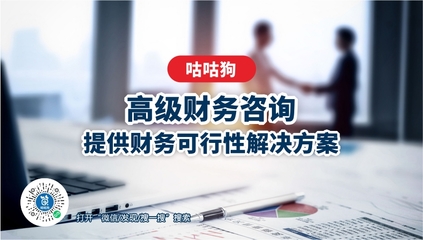 高級財務咨詢